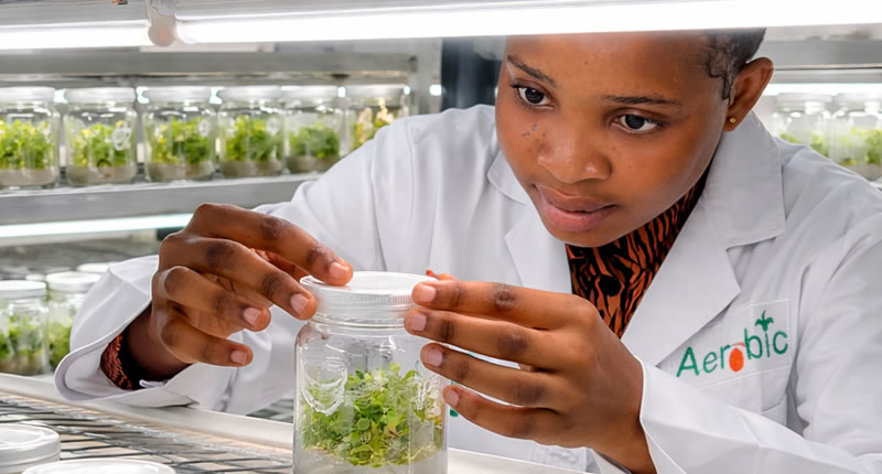 lab_image.jpg
